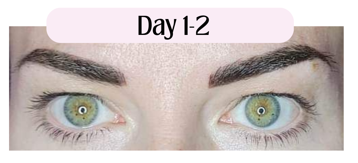Image of permanent makeup tattoo service microbladed eyebrows showing what to expect during the healing process on day 1.  Eyebrow microblading after 1-30 days of the healing process day to day.